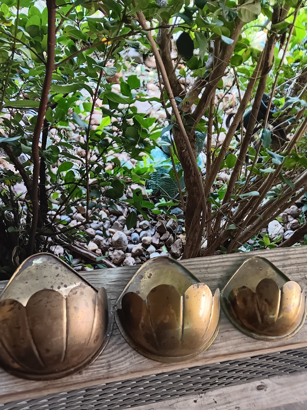 Vintage Brass Scalloped Tulip Wall Pockets Set of 3 - Golden Brass